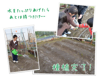 児童館芋掘り体験４