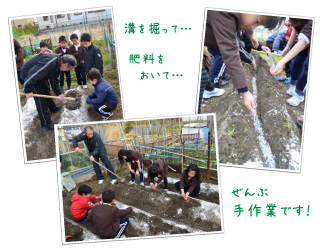 児童館芋掘り体験2