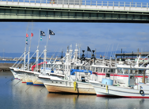 忠岡漁港。忠岡みなとマーケットの周辺です。