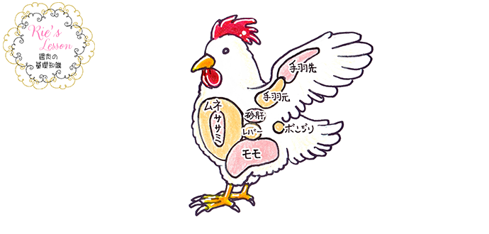 鶏肉の部位一覧