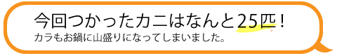 今回使ったカニはあんと25匹！カニもお鍋に山盛りになってしまいました。