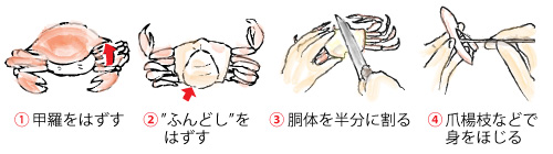 １，甲羅をはずす（甲羅は洗ってグラタンの器にします）。２，ふんどしをはずす。３，胴体を半分に割る。４，爪楊枝などを使って身をほじり出す。